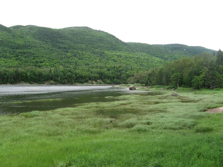 Anse St Jean 037.JPG